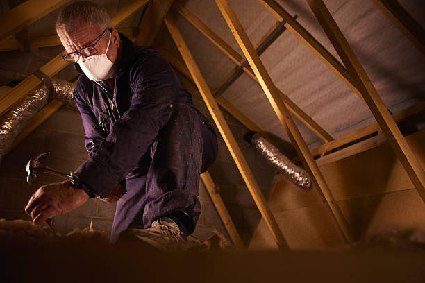 Best Insulation Installation Services in Pleasure Point, CA